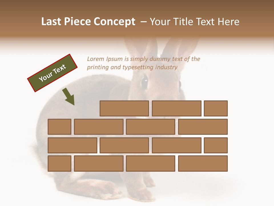 Whiskers Animal Rabbit PowerPoint Template