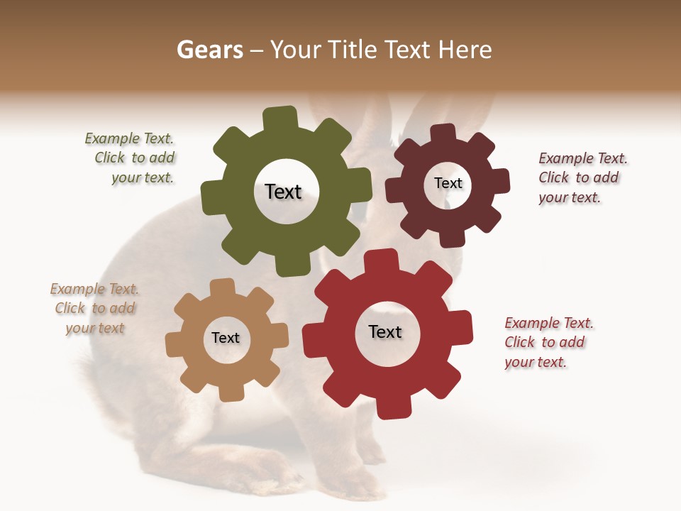 Whiskers Animal Rabbit PowerPoint Template