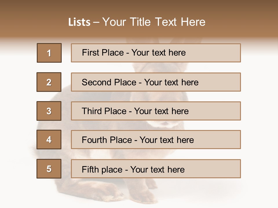 Whiskers Animal Rabbit PowerPoint Template