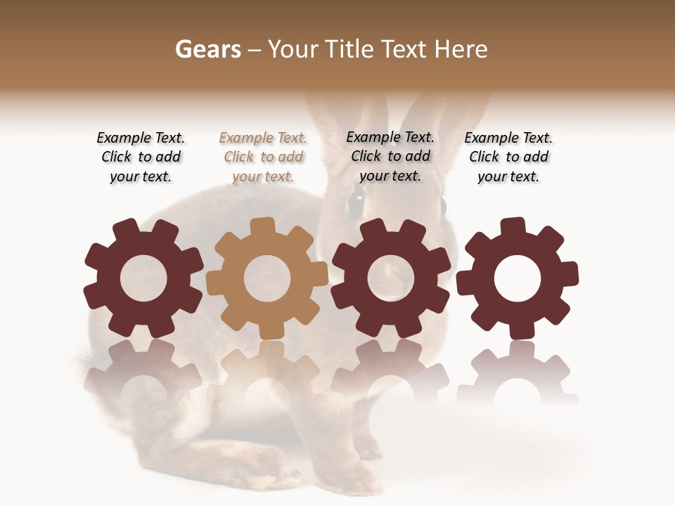 Whiskers Animal Rabbit PowerPoint Template