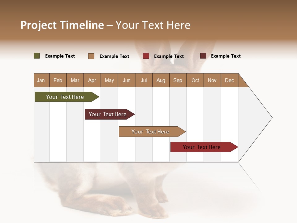 Whiskers Animal Rabbit PowerPoint Template