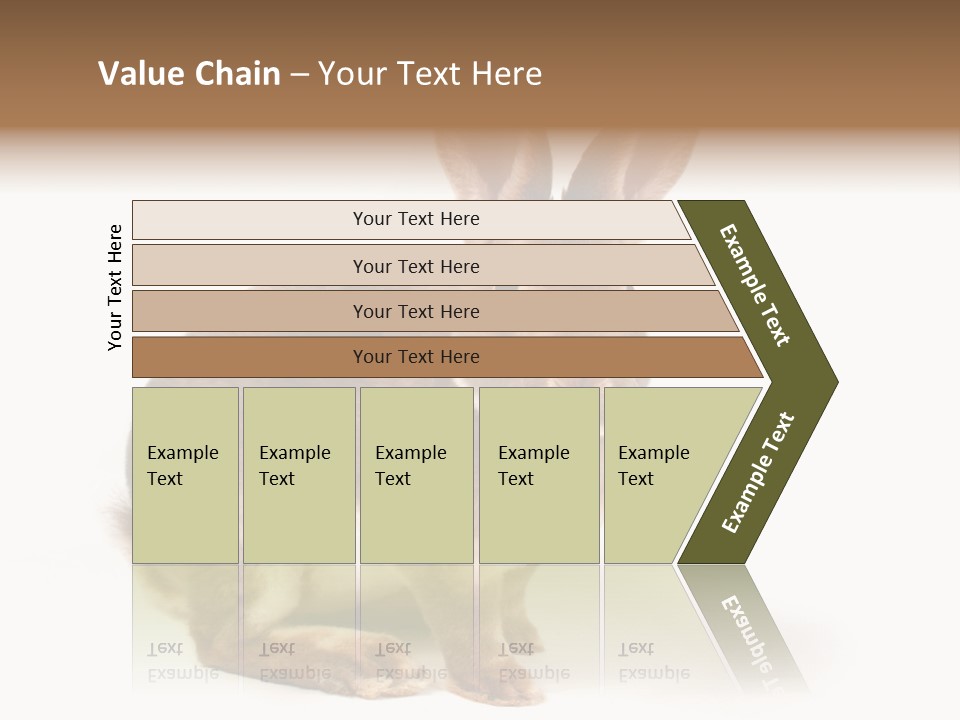 Whiskers Animal Rabbit PowerPoint Template