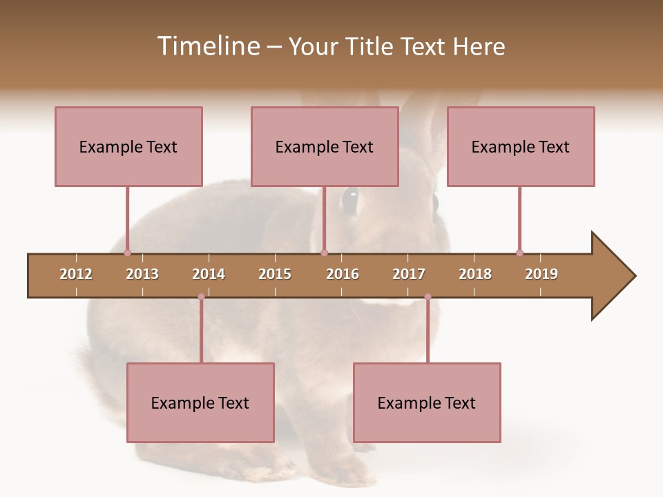 Whiskers Animal Rabbit PowerPoint Template