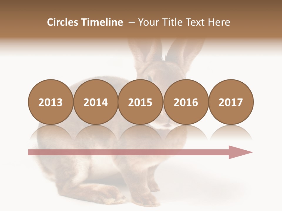 Whiskers Animal Rabbit PowerPoint Template