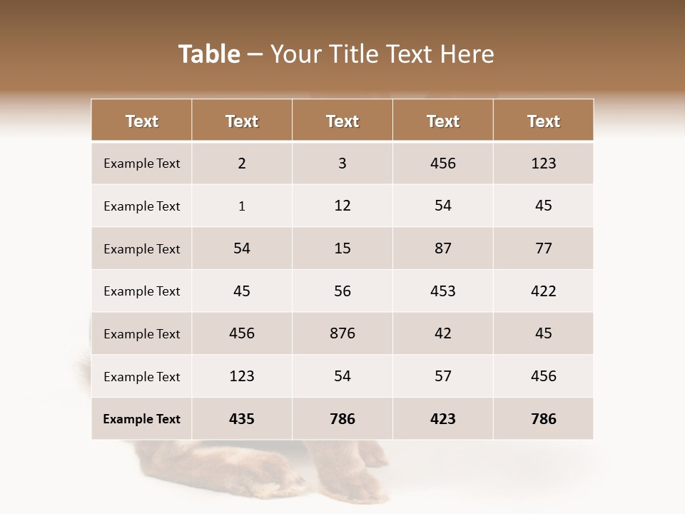 Whiskers Animal Rabbit PowerPoint Template