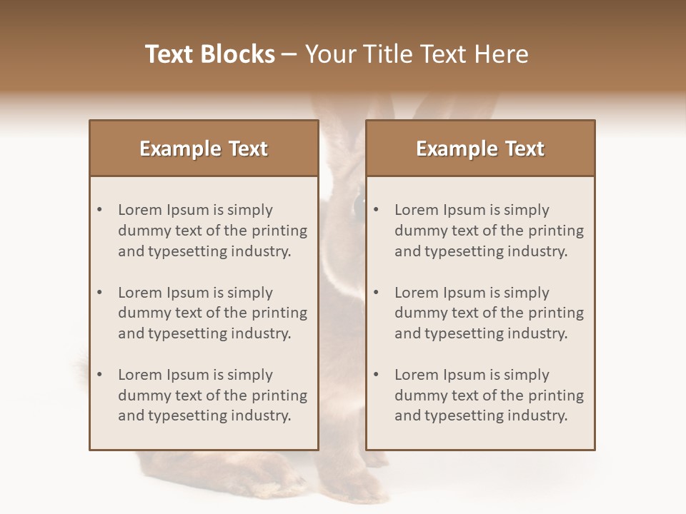 Whiskers Animal Rabbit PowerPoint Template