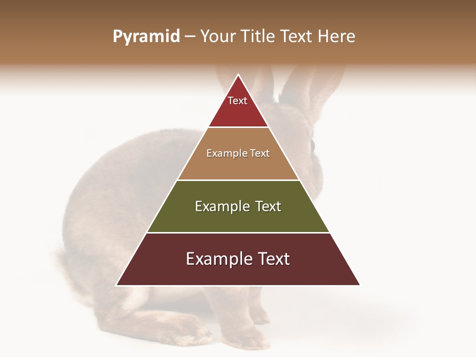 Whiskers Animal Rabbit PowerPoint Template