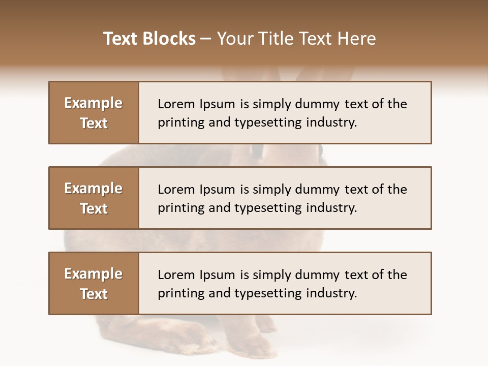 Whiskers Animal Rabbit PowerPoint Template