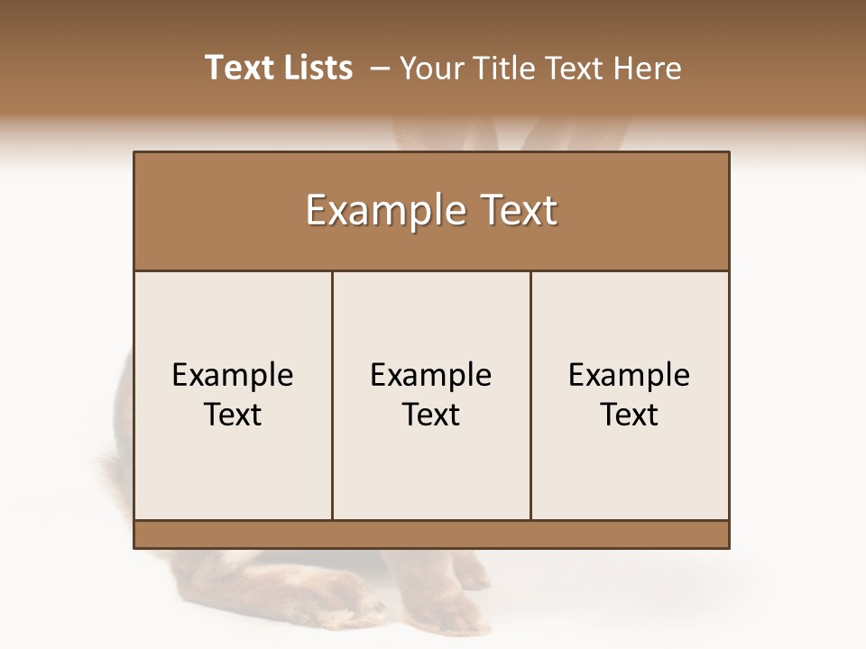 Whiskers Animal Rabbit PowerPoint Template