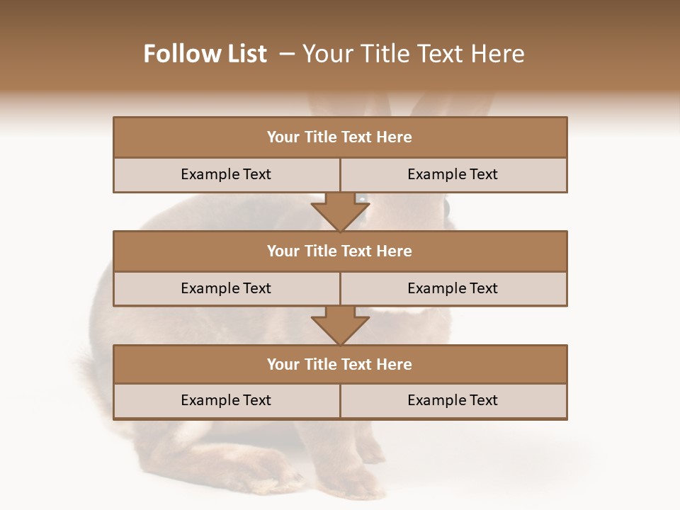 Whiskers Animal Rabbit PowerPoint Template