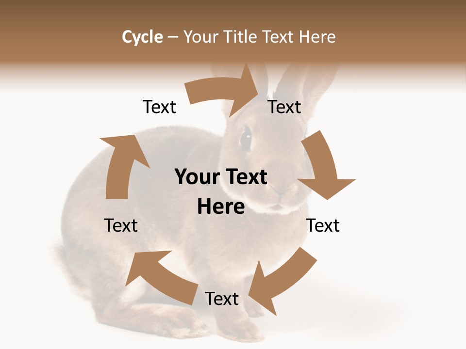 Whiskers Animal Rabbit PowerPoint Template