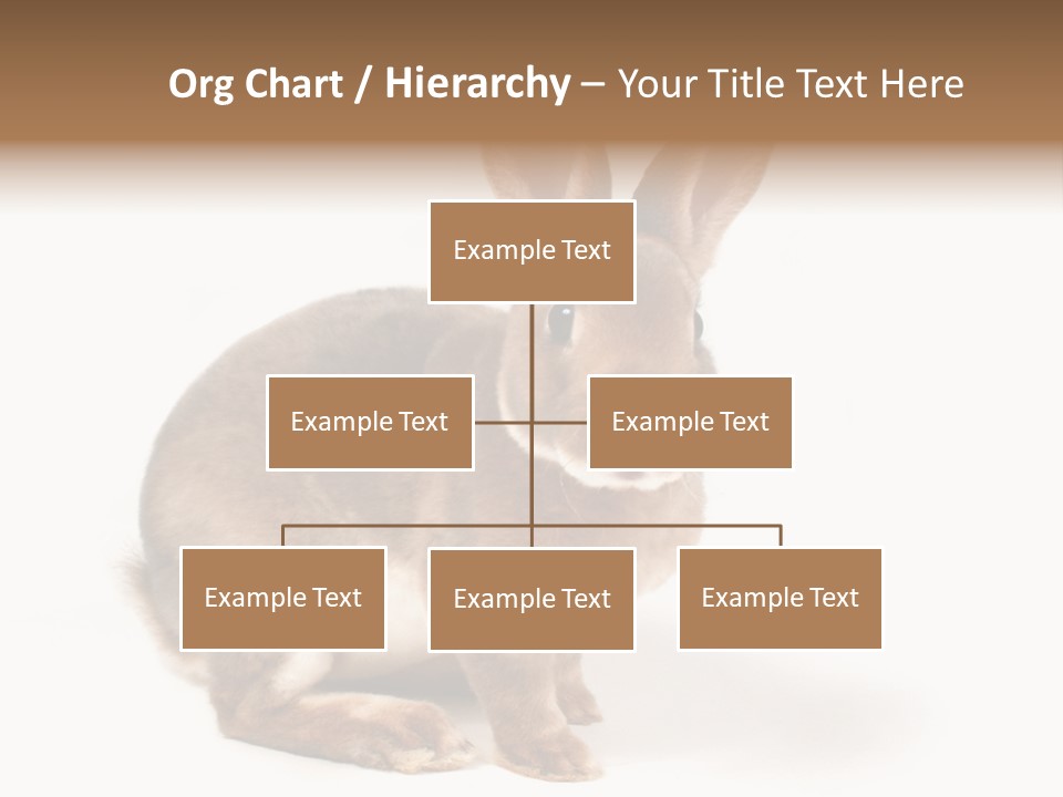 Whiskers Animal Rabbit PowerPoint Template