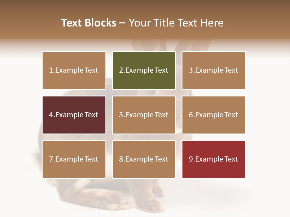 Whiskers Animal Rabbit PowerPoint Template