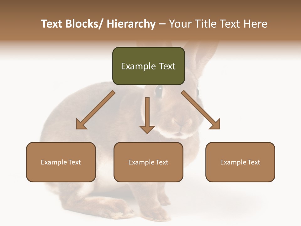 Whiskers Animal Rabbit PowerPoint Template