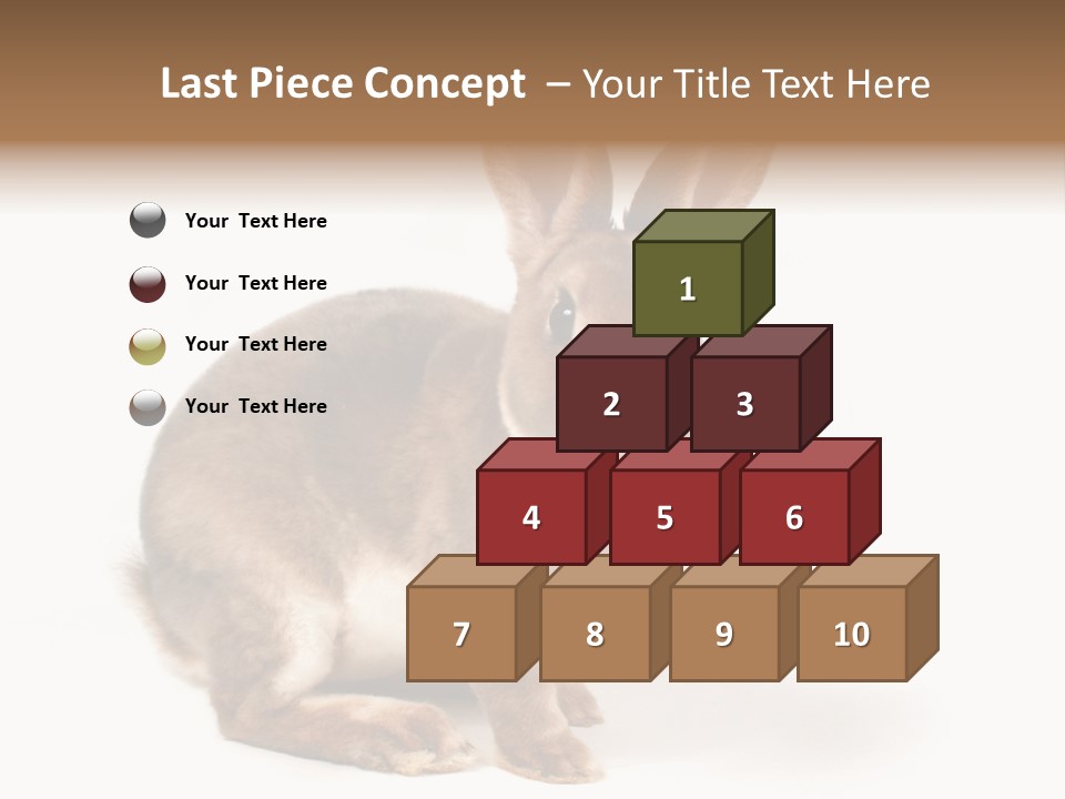 Whiskers Animal Rabbit PowerPoint Template