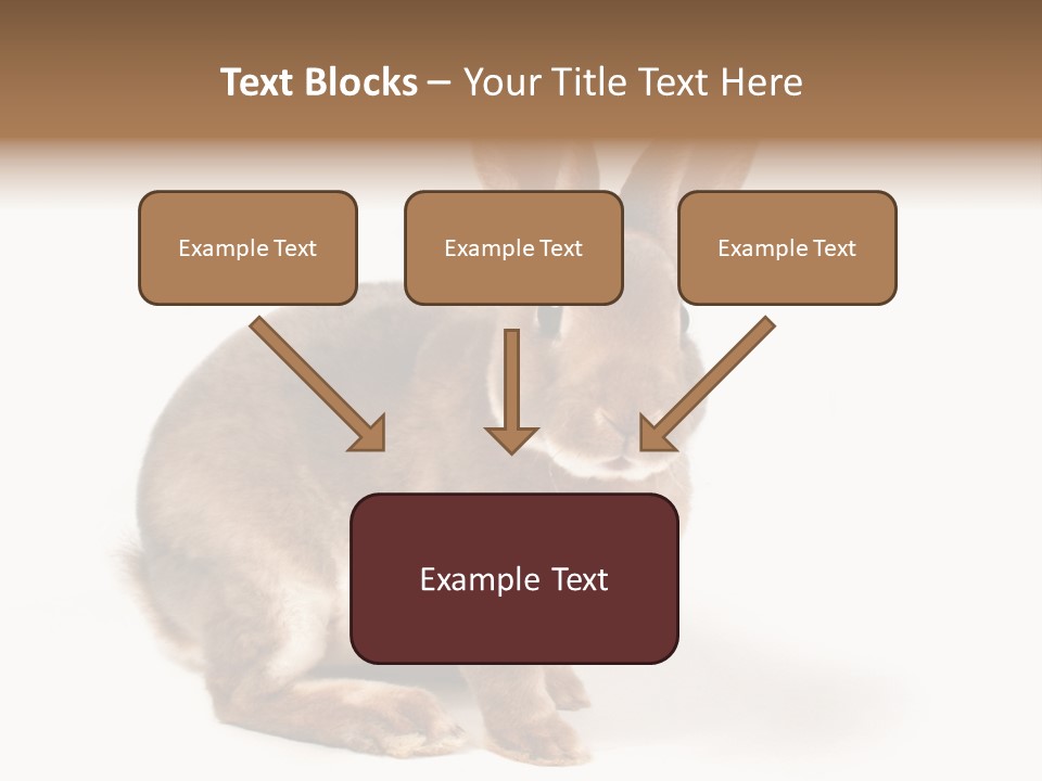 Whiskers Animal Rabbit PowerPoint Template