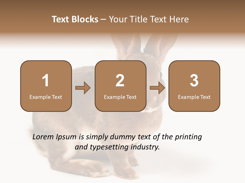 Whiskers Animal Rabbit PowerPoint Template