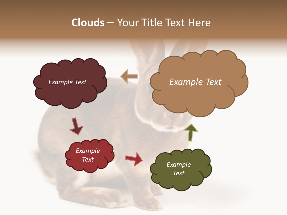 Whiskers Animal Rabbit PowerPoint Template