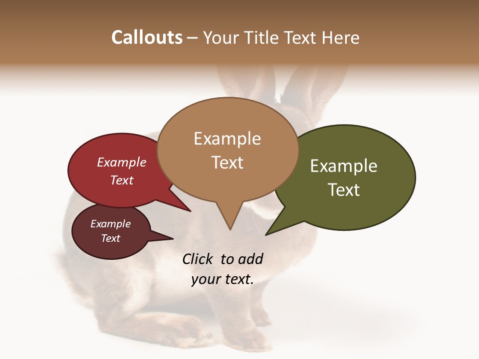 Whiskers Animal Rabbit PowerPoint Template