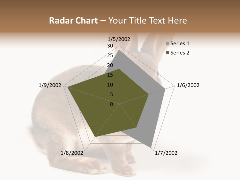 Whiskers Animal Rabbit PowerPoint Template