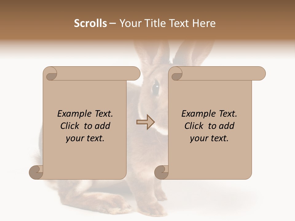 Whiskers Animal Rabbit PowerPoint Template