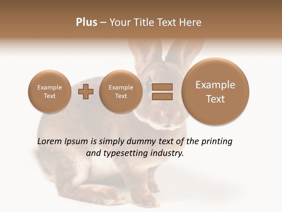Whiskers Animal Rabbit PowerPoint Template