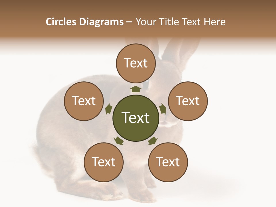 Whiskers Animal Rabbit PowerPoint Template