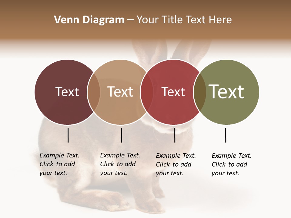 Whiskers Animal Rabbit PowerPoint Template