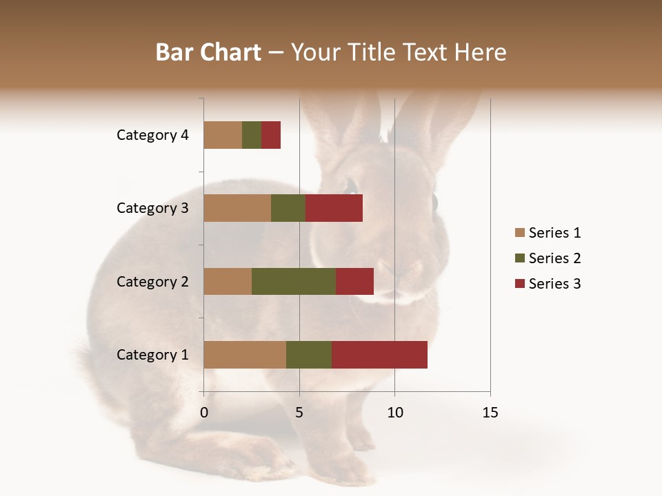 Whiskers Animal Rabbit PowerPoint Template