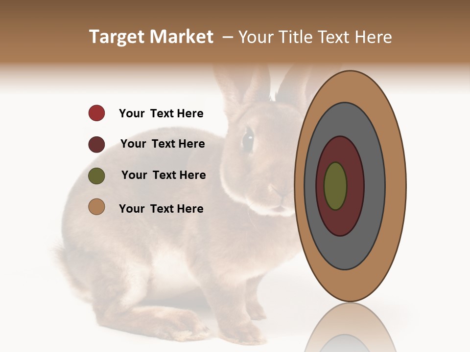 Whiskers Animal Rabbit PowerPoint Template