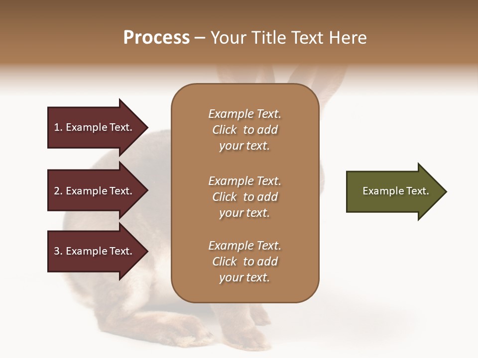 Whiskers Animal Rabbit PowerPoint Template