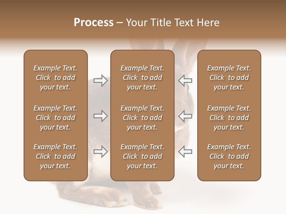Whiskers Animal Rabbit PowerPoint Template