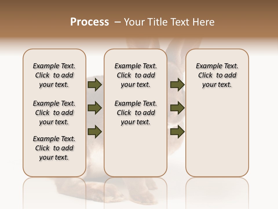Whiskers Animal Rabbit PowerPoint Template