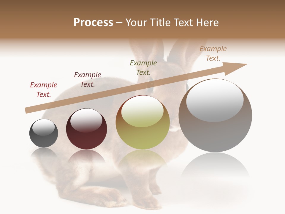 Whiskers Animal Rabbit PowerPoint Template