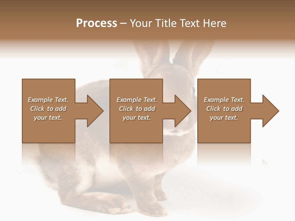 Whiskers Animal Rabbit PowerPoint Template