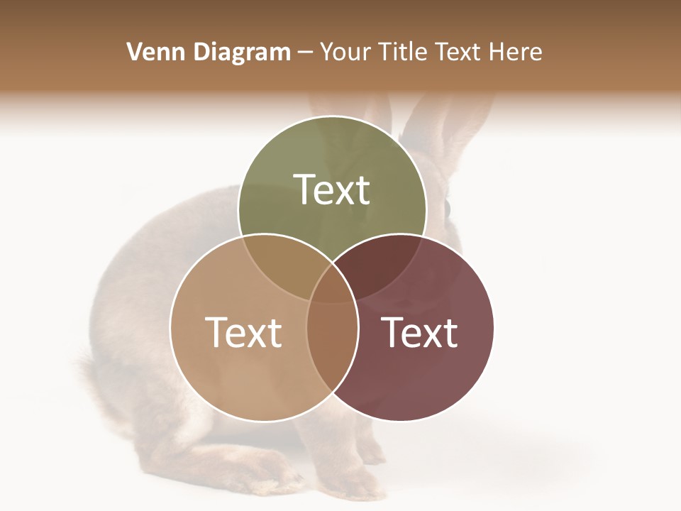 Whiskers Animal Rabbit PowerPoint Template