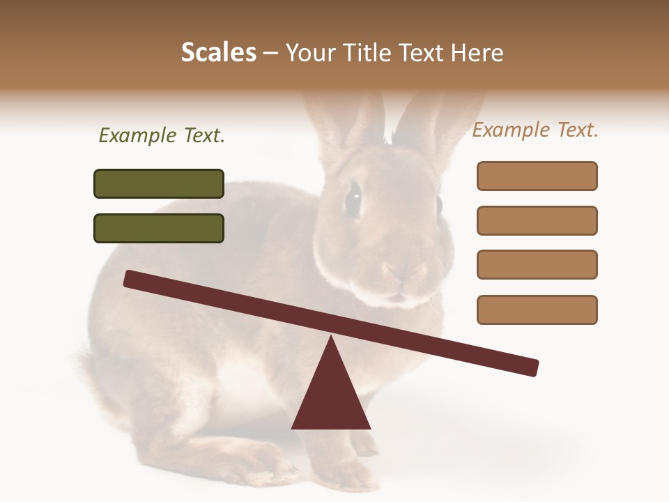 Whiskers Animal Rabbit PowerPoint Template