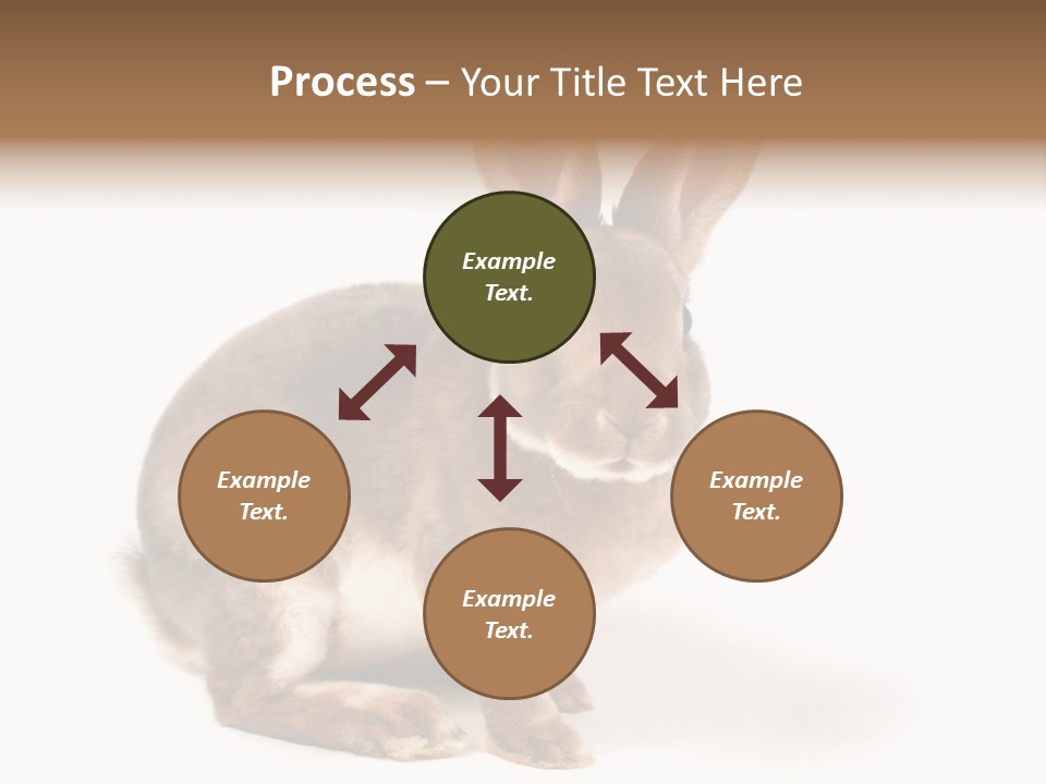 Whiskers Animal Rabbit PowerPoint Template