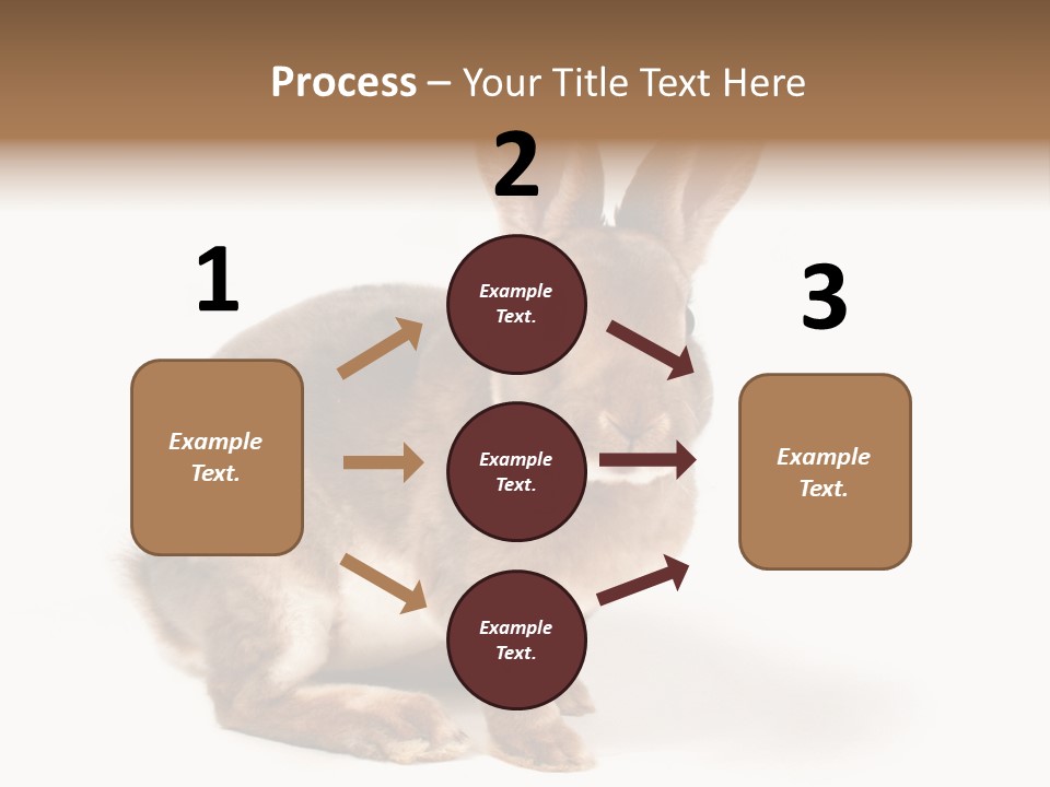 Whiskers Animal Rabbit PowerPoint Template