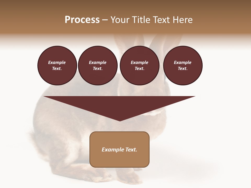 Whiskers Animal Rabbit PowerPoint Template