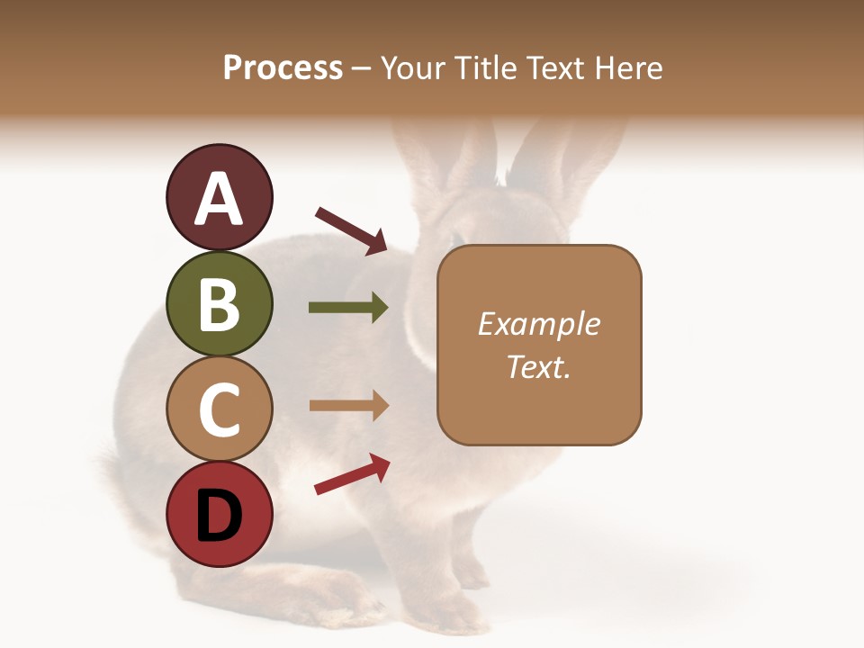 Whiskers Animal Rabbit PowerPoint Template