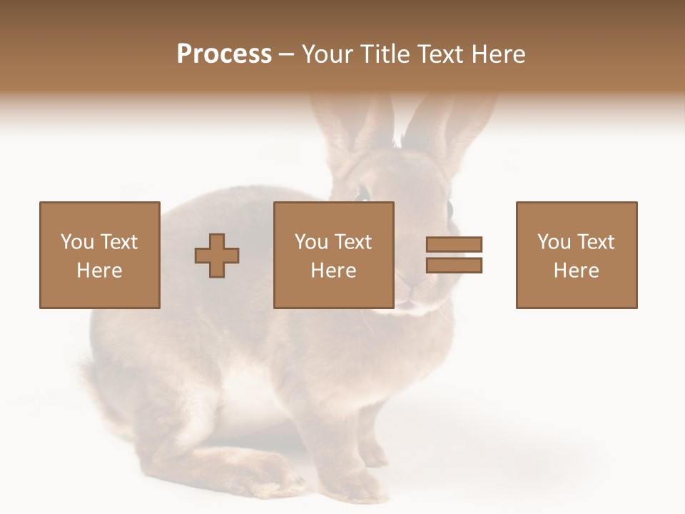 Whiskers Animal Rabbit PowerPoint Template