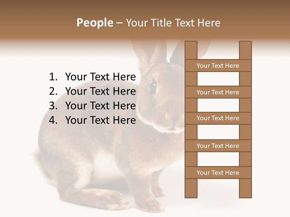 Whiskers Animal Rabbit PowerPoint Template