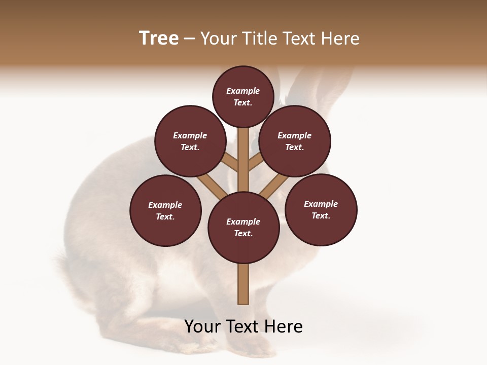 Whiskers Animal Rabbit PowerPoint Template