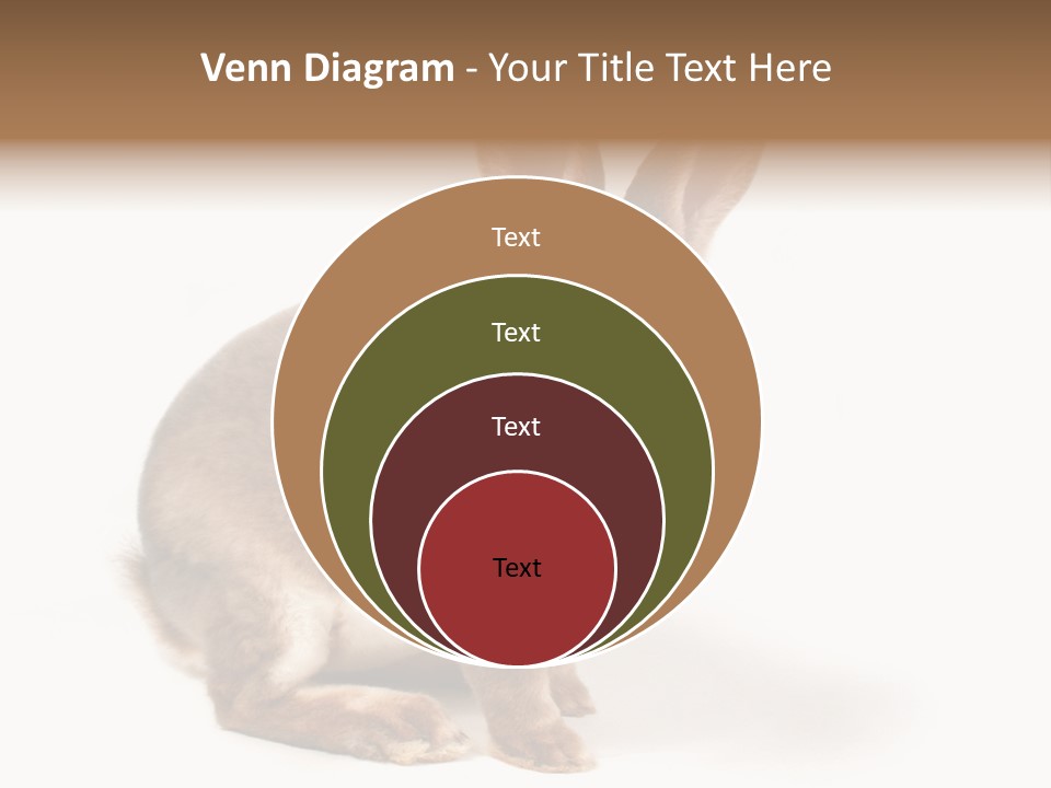 Whiskers Animal Rabbit PowerPoint Template