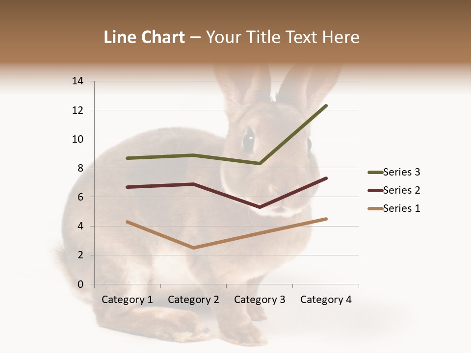 Whiskers Animal Rabbit PowerPoint Template