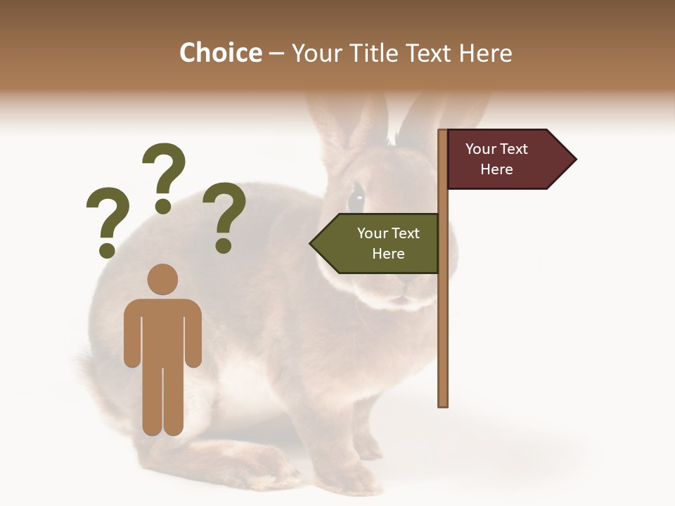 Whiskers Animal Rabbit PowerPoint Template