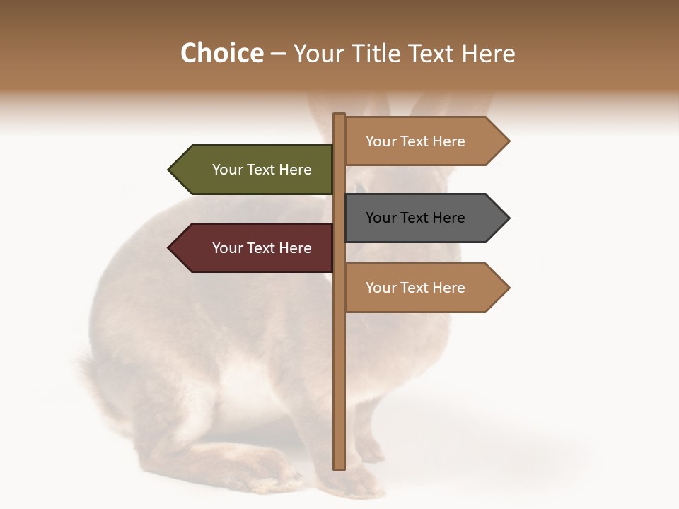 Whiskers Animal Rabbit PowerPoint Template