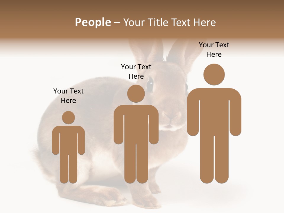 Whiskers Animal Rabbit PowerPoint Template