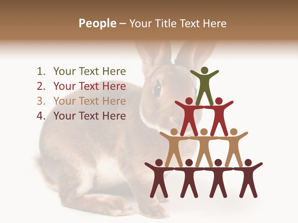 Whiskers Animal Rabbit PowerPoint Template